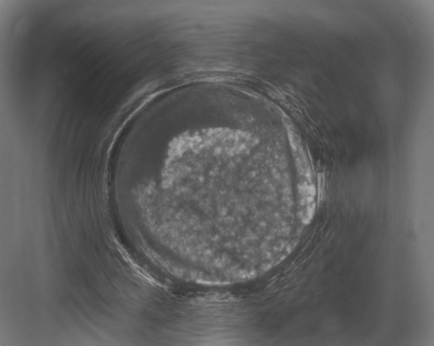 X0000081580243200702121455