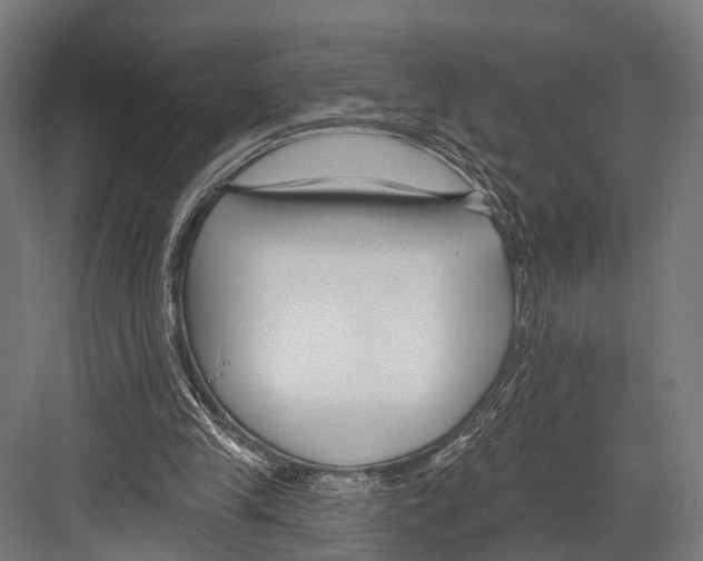 X0000081580245200702121455