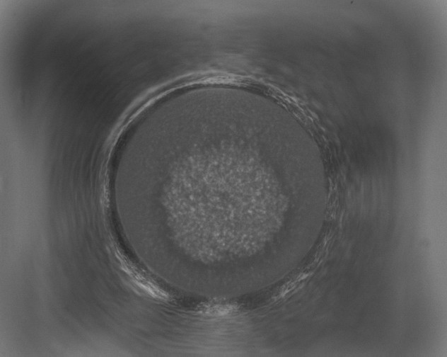 X0000081580247200702121455