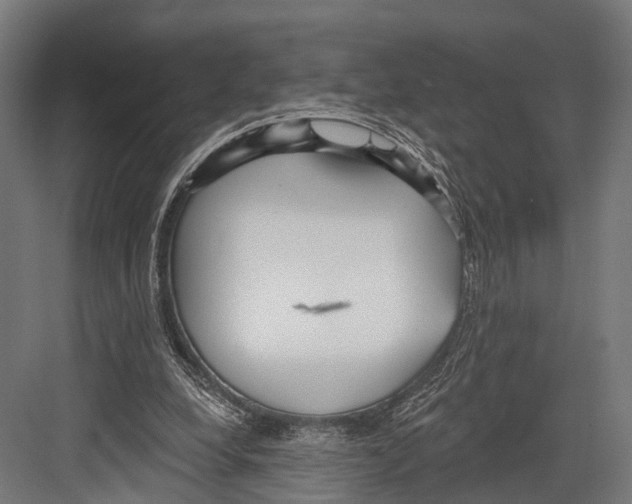 X0000081580248200702121455