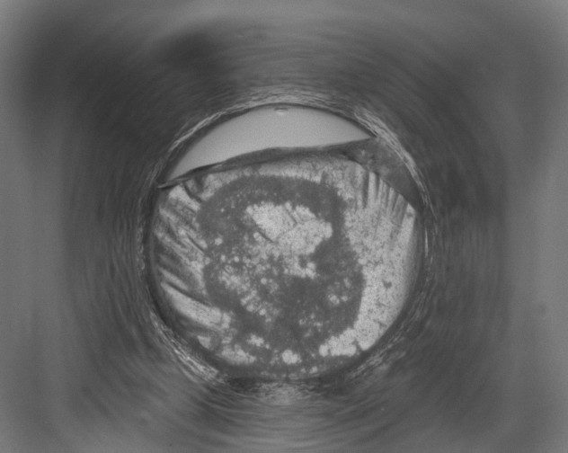 X0000081580249200702121455