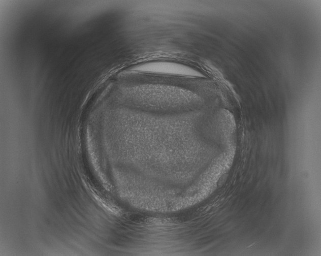 X0000081580250200702121455