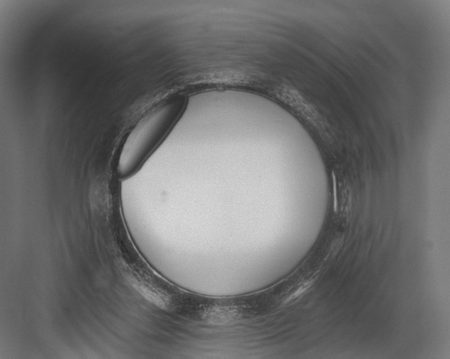 X0000081580252200702121455