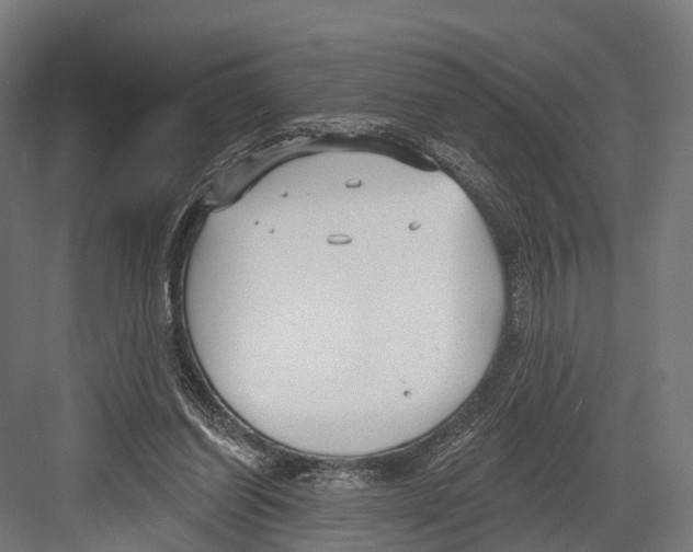 X0000081580254200702121455