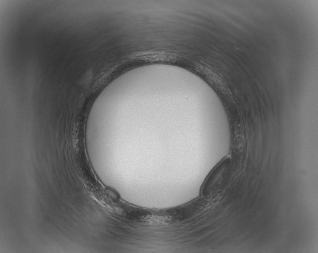 X0000081580255200702121455