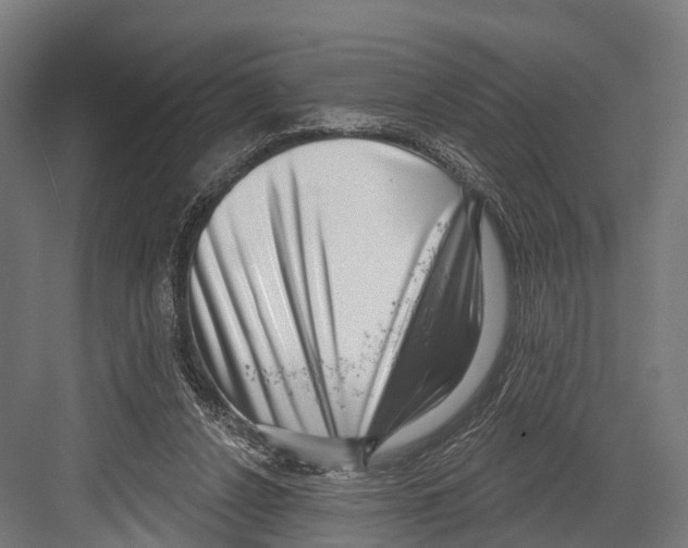 X0000081580256200702121455