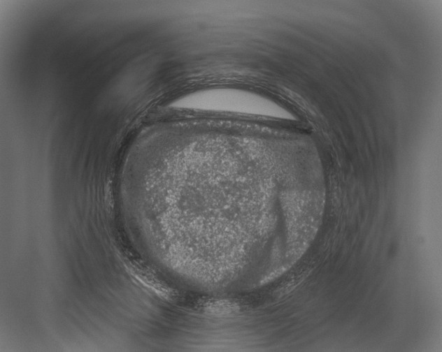 X0000081580258200702121455