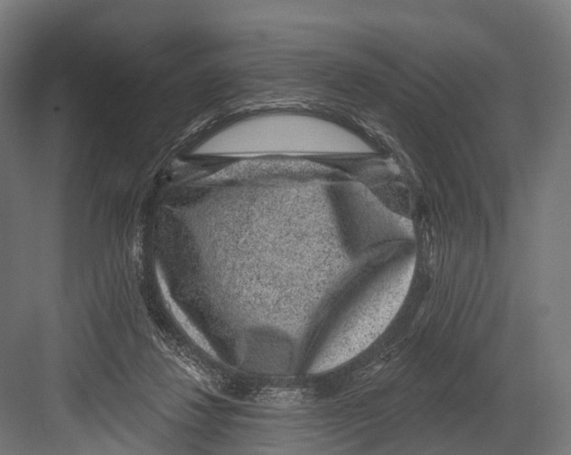 X0000081580260200702121455