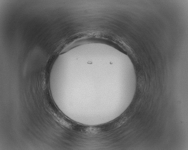 X0000081580261200702121455