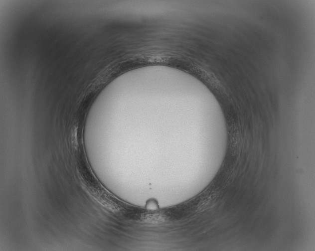 X0000081580262200702121455