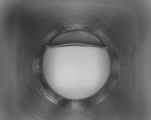 X0000081580264200702121455