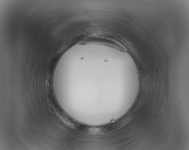 X0000081580265200702121455