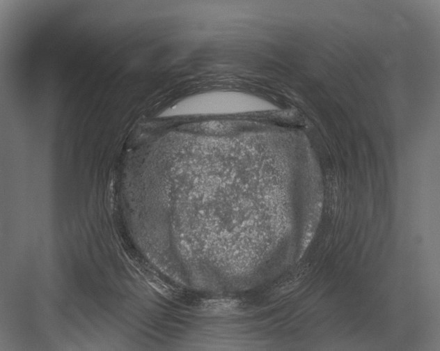 X0000081580266200702121455