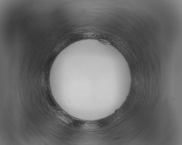 X0000081580270200702121455