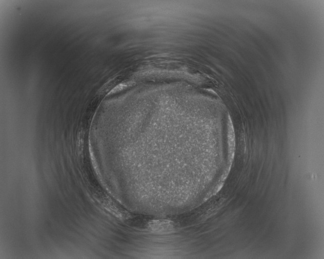 X0000081580271200702121455