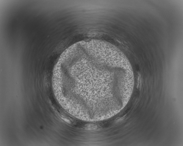 X0000081580272200702121455