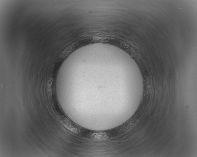 X0000081580275200702121455