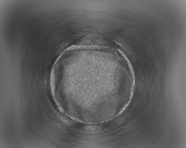 X0000081580277200702121455