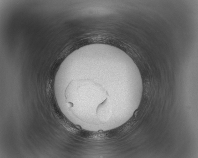 X0000081580278200702121455