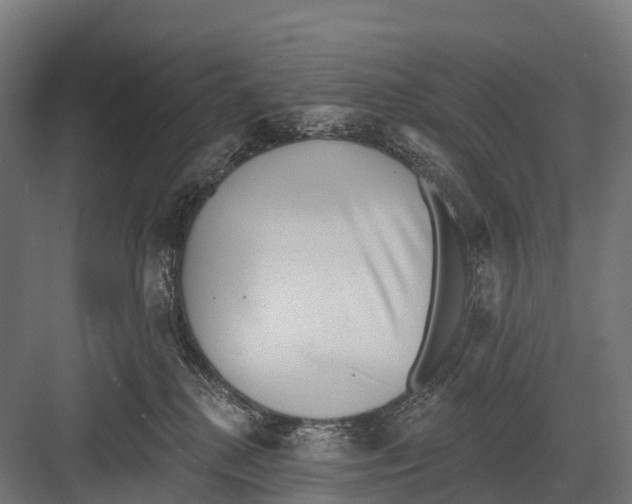 X0000081580280200702121455