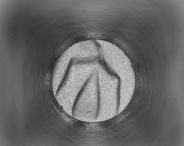 X0000081580281200702121455