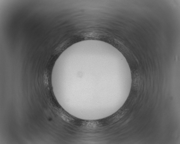 X0000081580282200702121455