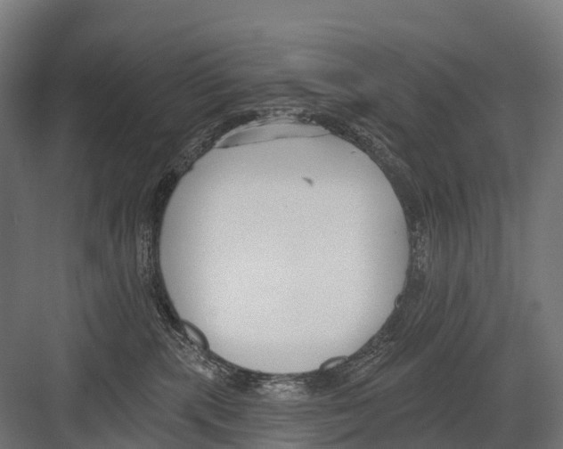 X0000081580283200702121455