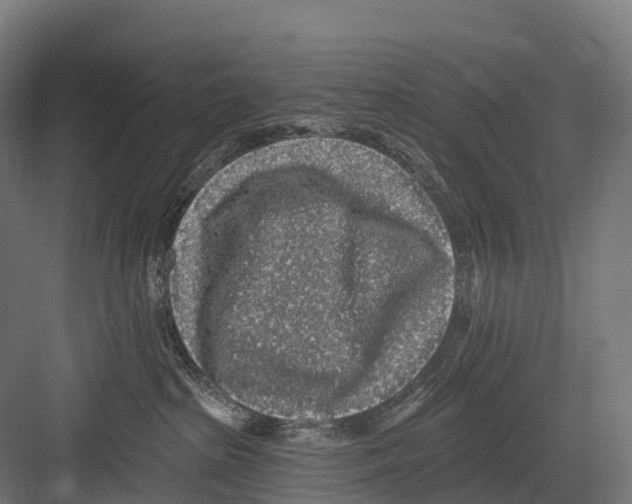 X0000081580285200702121455