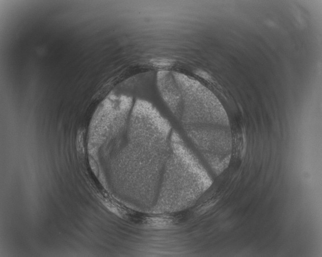 X0000081580286200702121455