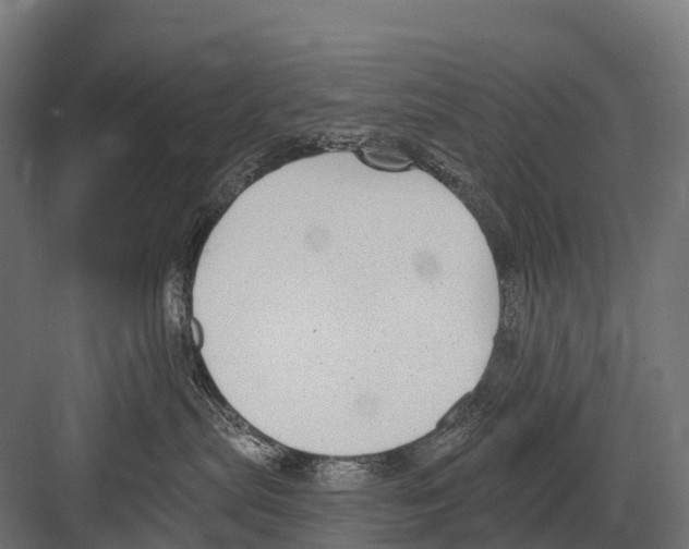 X0000081580287200702121455