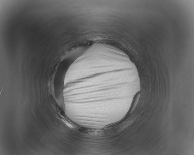 X0000081580288200702121455