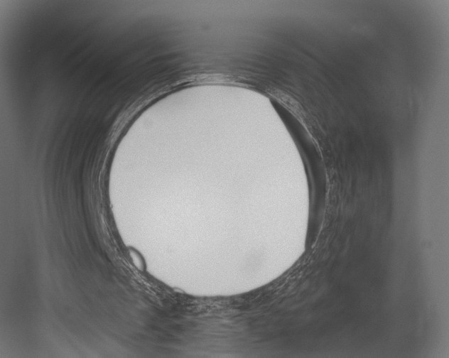 X0000081580289200702121455