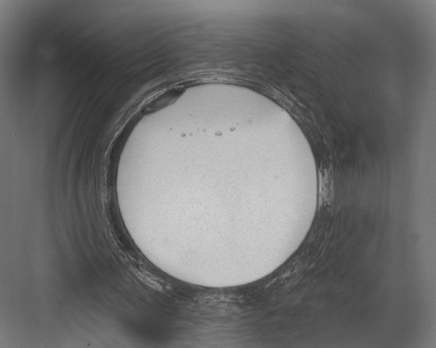 X0000081580291200702121455