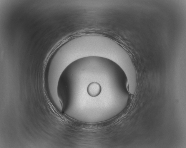 X0000081580293200702121455