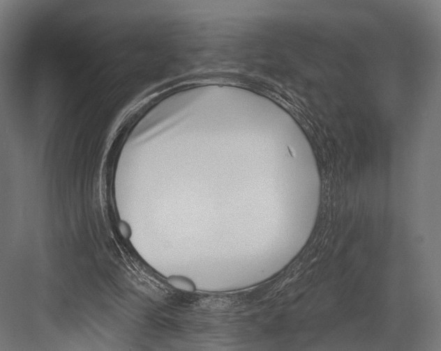 X0000081580294200702121455