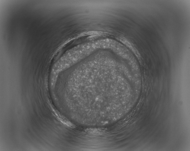 X0000081580297200702121455