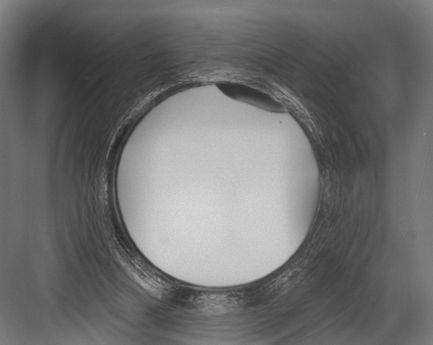 X0000081580298200702121455