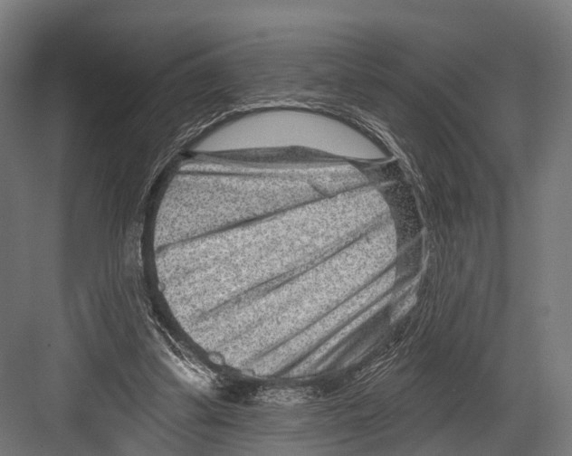 X0000081580299200702121455