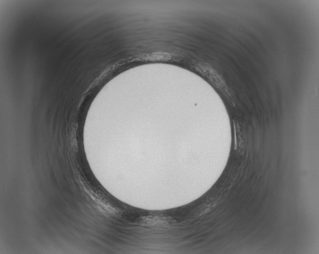 X0000081580300200702121454