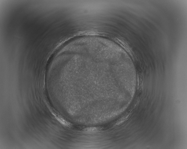 X0000081580301200702121454