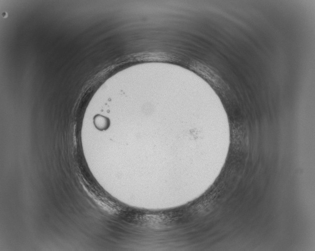 X0000081580302200702121454