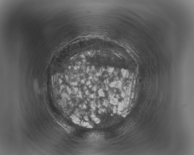 X0000081580303200702121454