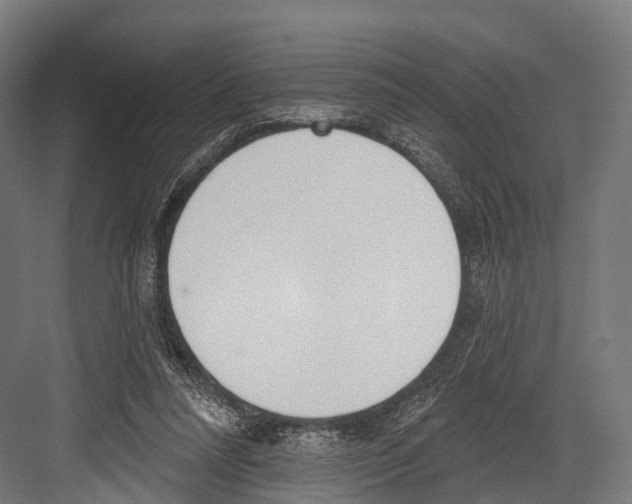 X0000081580304200702121454