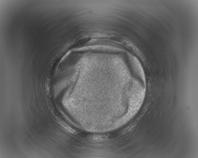 X0000081580305200702121454