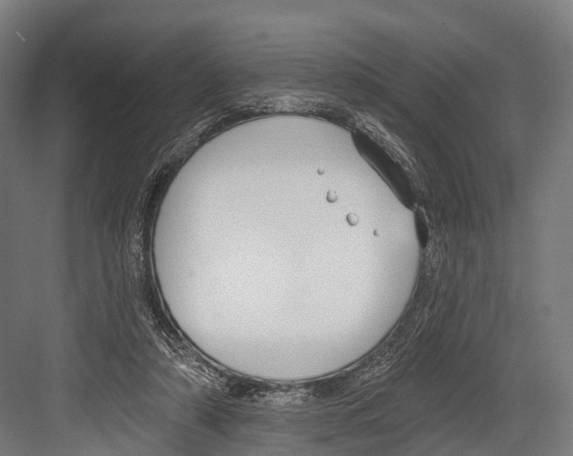 X0000081580306200702121454