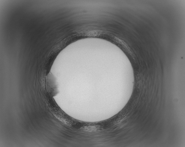 X0000081580307200702121454