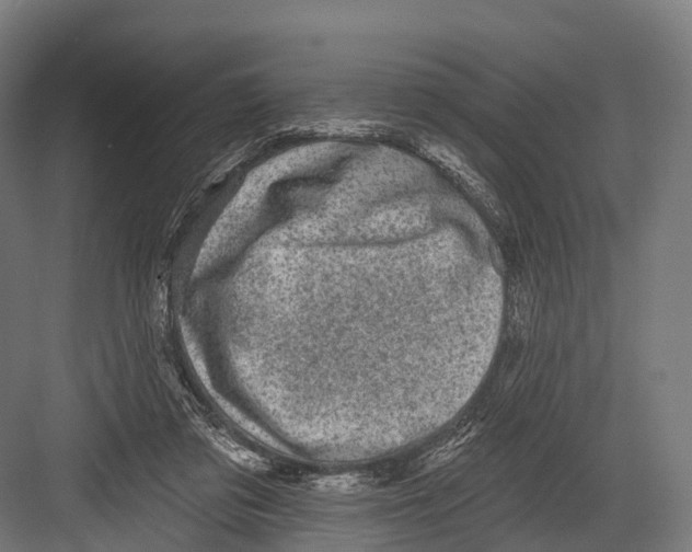 X0000081580309200702121454