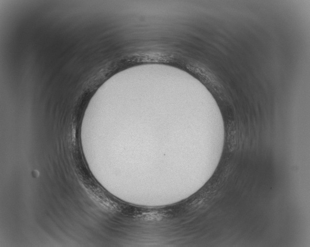 X0000081580310200702121454