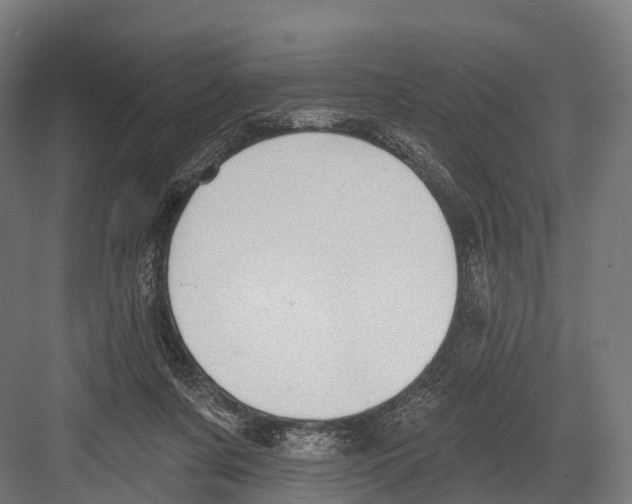 X0000081580311200702121454