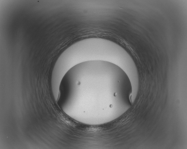 X0000081580313200702121454